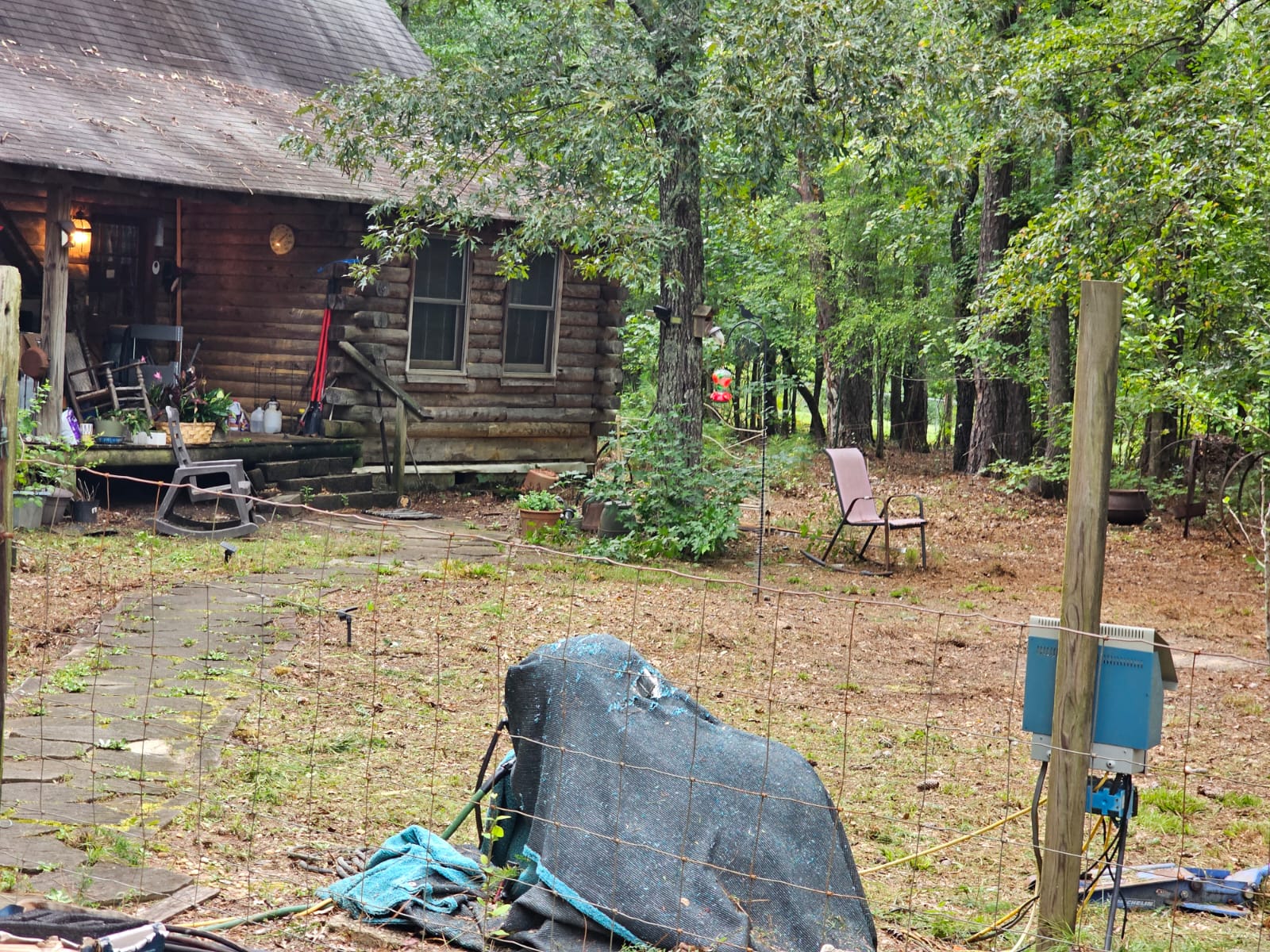 The Cutting Edge Lawn & Removal Services