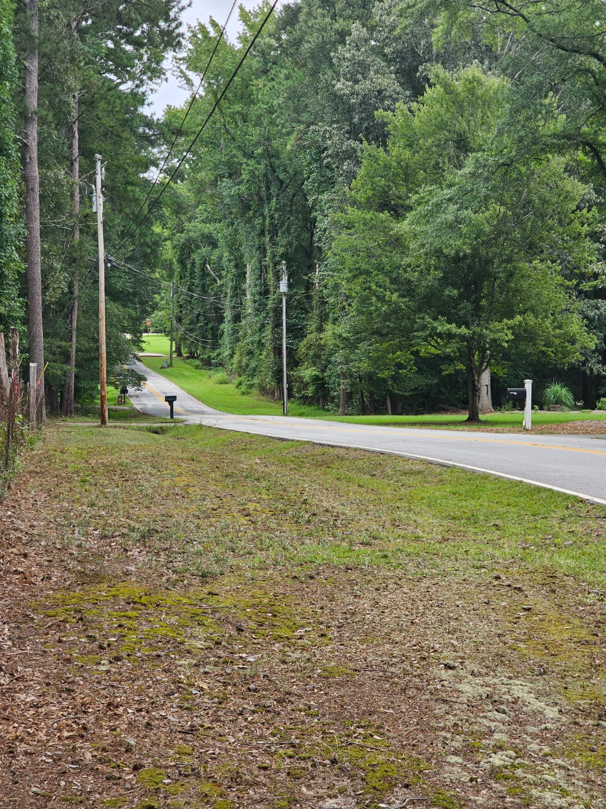 The Cutting Edge Lawn & Removal Services