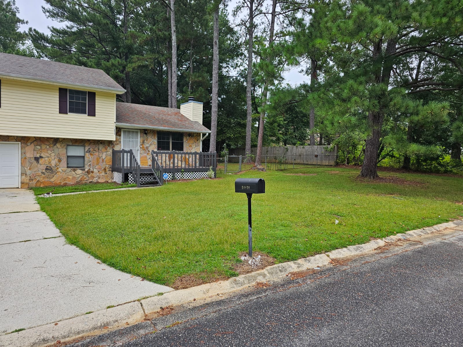 The Cutting Edge Lawn & Removal Services