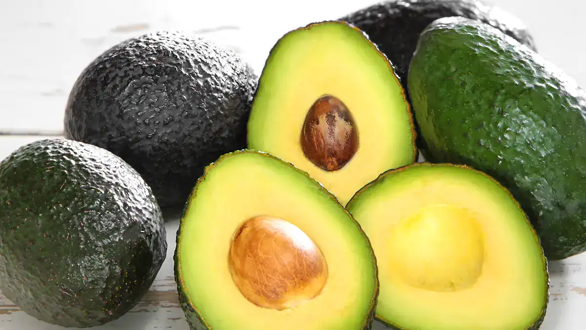 Sprouts Healthy Organic Bakery Grocery Store -For Sale All Products