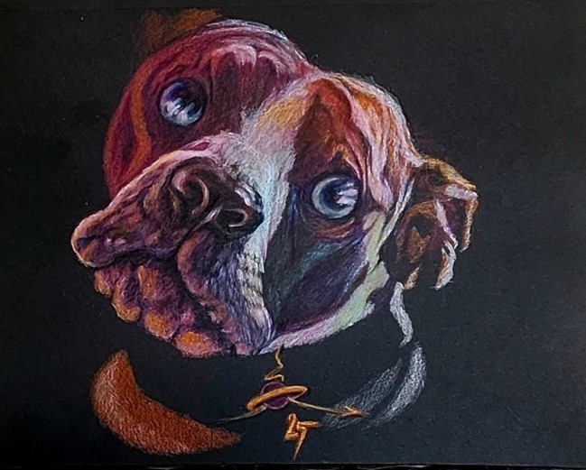 Alec's Illustration Attic