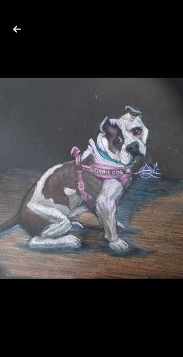 Alec's Illustration Attic