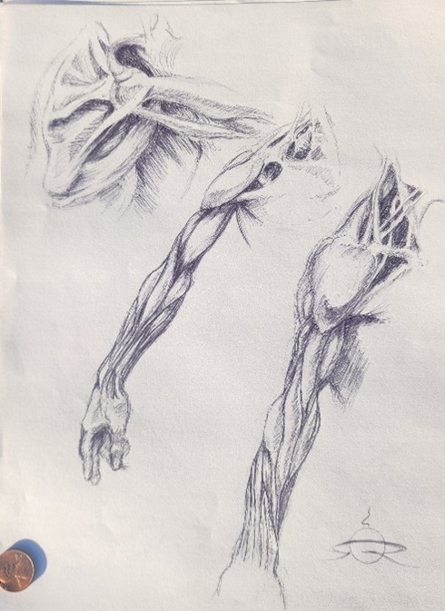 Alec's Illustration Attic